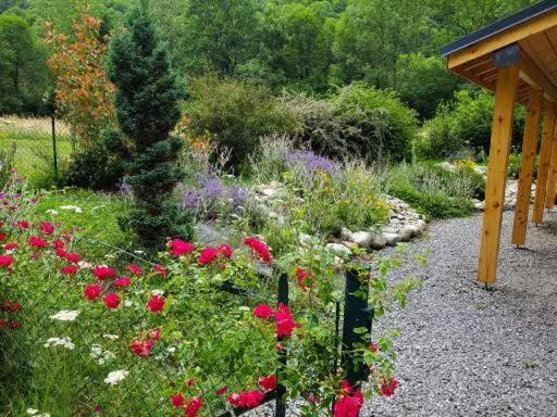 Gite La Fargue De Cabre Val-de-Sos المظهر الخارجي الصورة