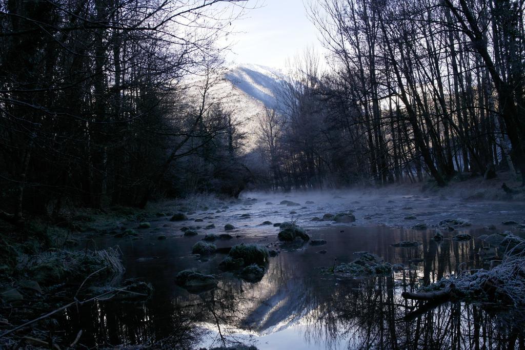 Gite La Fargue De Cabre Val-de-Sos المظهر الخارجي الصورة