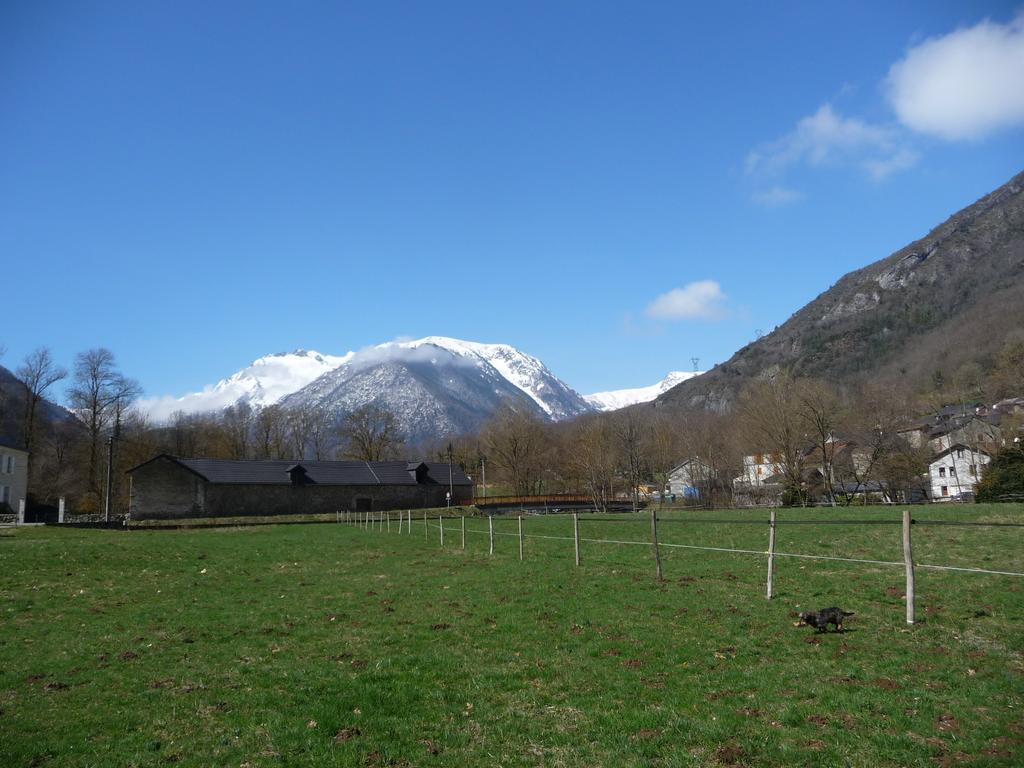 Gite La Fargue De Cabre Val-de-Sos الغرفة الصورة